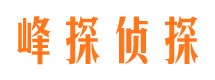 宿城侦探